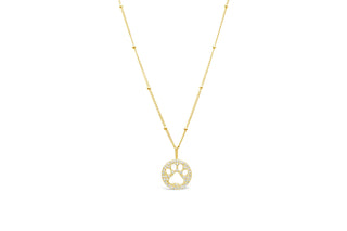 Stia Pave Paw Necklace