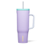PURPLE DOLPHIN