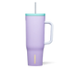 PURPLE DOLPHIN