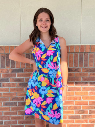 Aryeh Romina Floral Sleeveless Dress