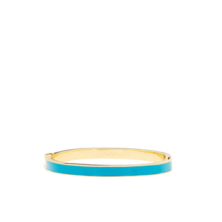 Stunning Enamel Bangle