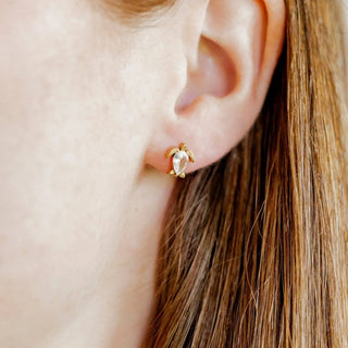 Linny Co Screwback Stud Earrings - Turtle Cz Gold