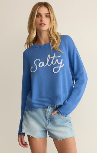 Z Supply Sienna Salty Sweater