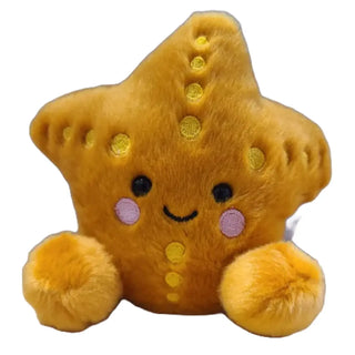 Stella the Canned Starfish