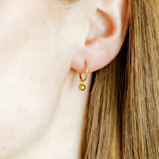 Linny Co Nola Huggie Charm Earrings