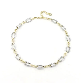 Collectors Charm Necklace