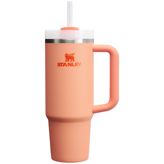 Stanley Quencher H2.0 Flowstate Tumbler | 30 OZ