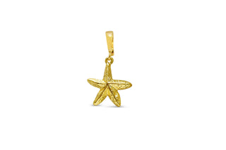 Stia "Rugged Starfish" Charm
