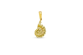 Stia "Curly Shell" Charm