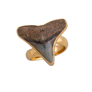 Alchemia Mini Fossil Shark Tooth Adjustable Ring