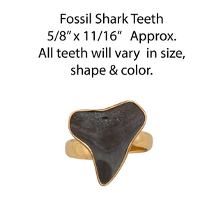 Alchemia Mini Fossil Shark Tooth Adjustable Ring