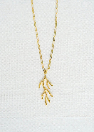 Heart of the Reef Necklace