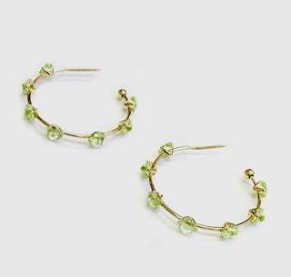 Fancy Free Bling Hoop Earrings