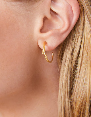 Spartina Splash Coral Hoops