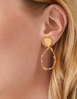 Spartina Splash Sea Coral Earrings