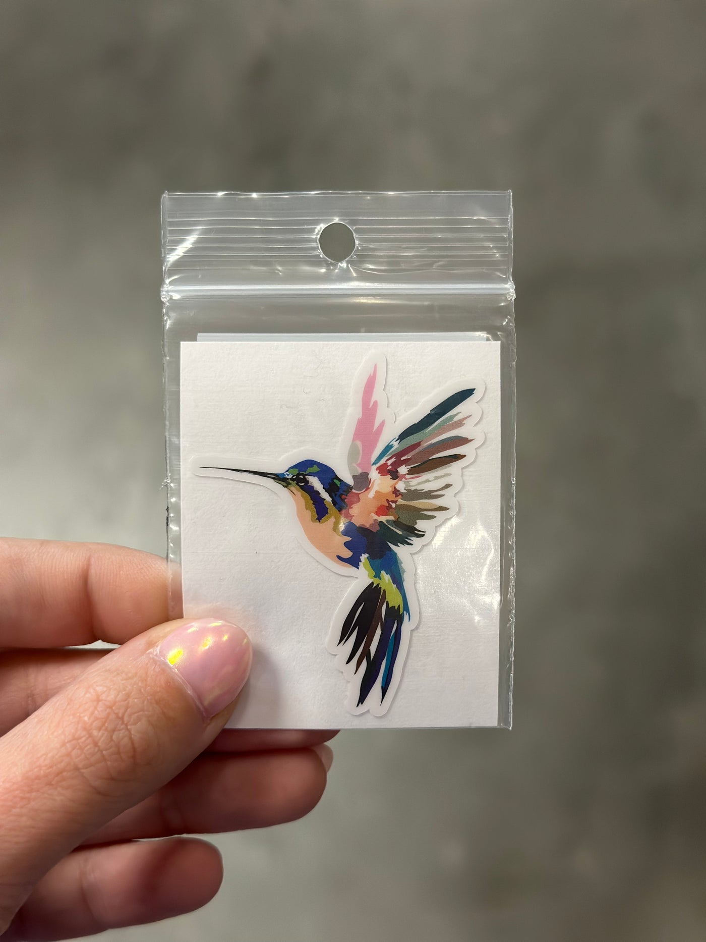 Colored Hummingbird Sticker