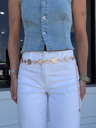 Dual Sized Organic Disc Chain Belt