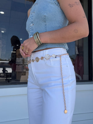 Dual Sized Organic Disc Chain Belt