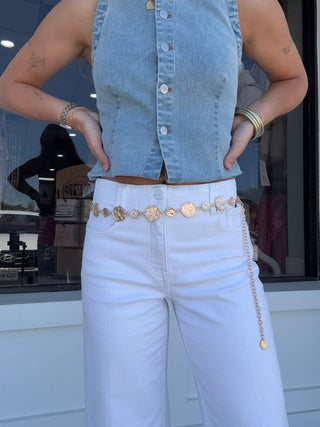Dual Sized Organic Disc Chain Belt
