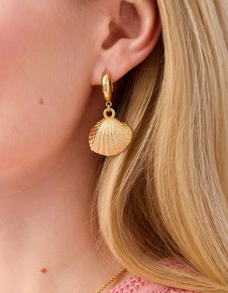 Spartina Venus Shell Hoop Earrings