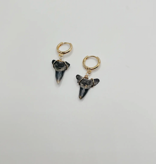 Dainty Shark Tooth Huggie Earrings