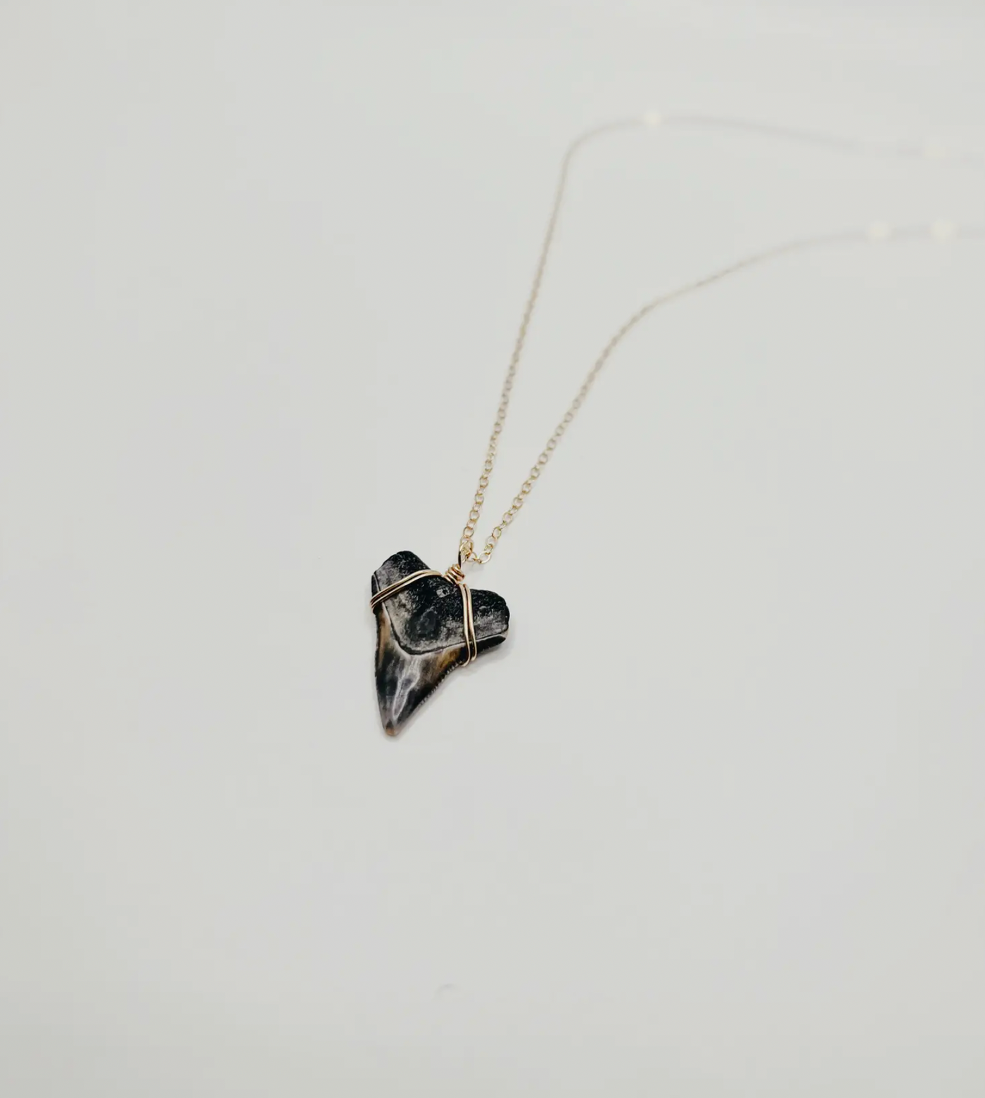 Dainty Shark Tooth Necklace