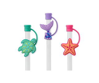 Swig Straws & Straw Topper Sets