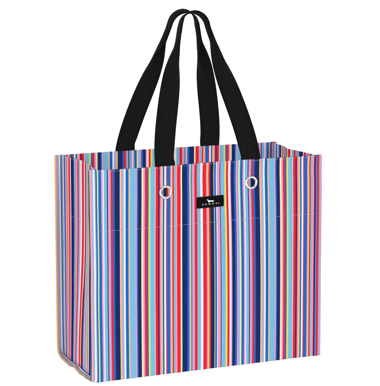 Scout Large Package Gift Bag