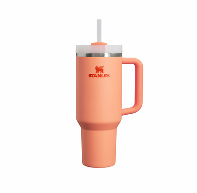 Stanley Quencher H2.0 Flowstate Tumbler | 40 OZ