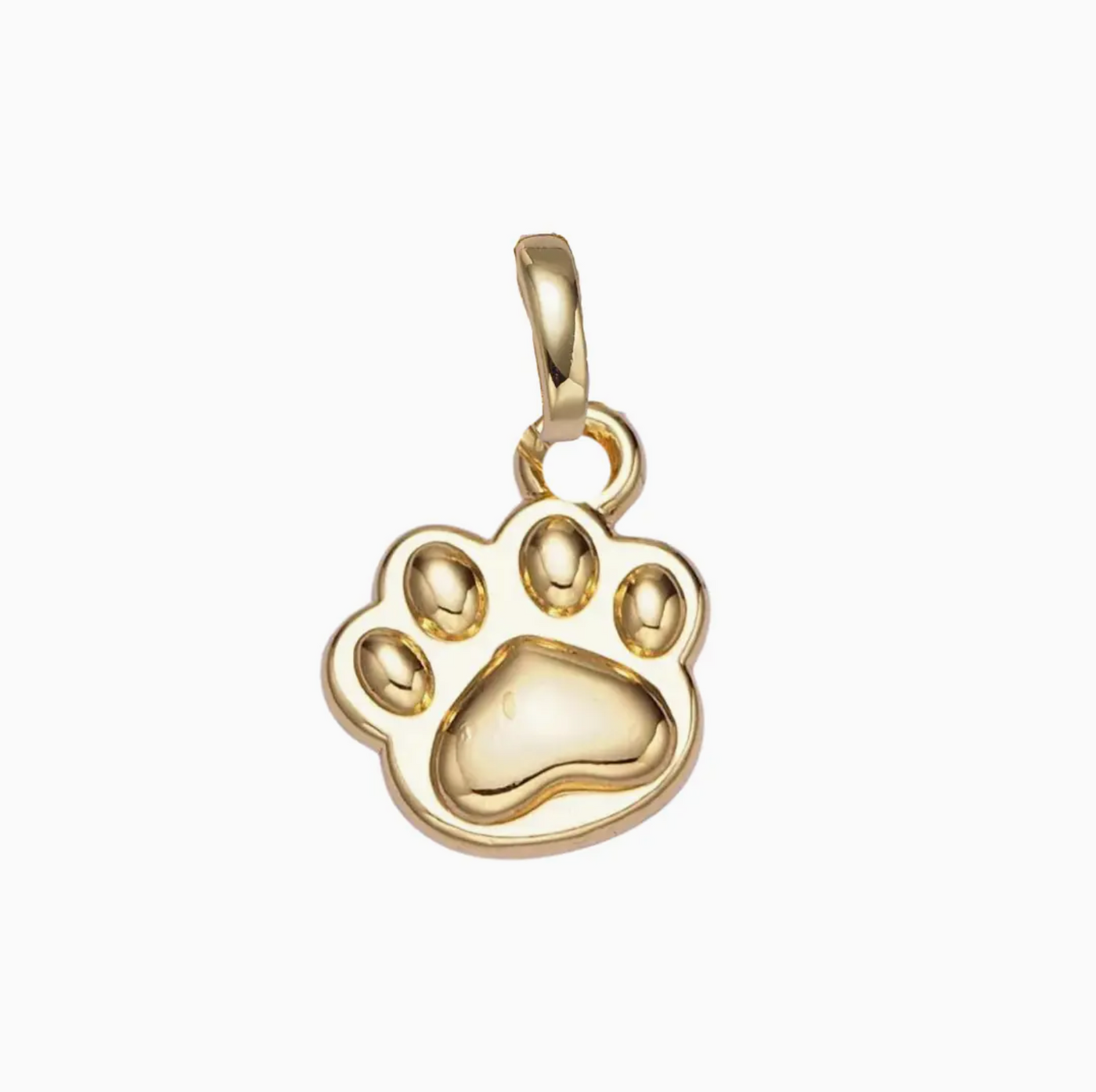 Kinsey Clip Charms