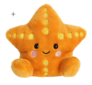 Treasure Starfish Palm Pal