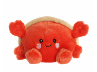 Tide Hermit Crab Palm Pal
