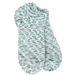 Spruce
