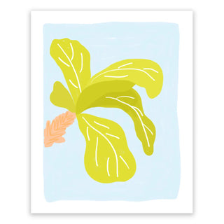 Fiddle Leaf Fig Art Print