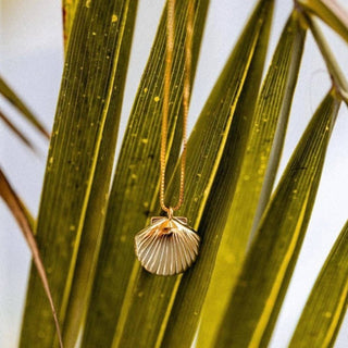 Salty Cali Beachy Necklace