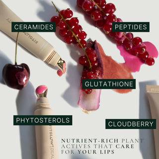 Ceramide Hydra-Balm | 7 Shades