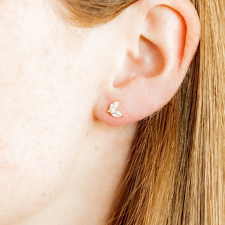 Linny Co Screwback Stud Earrings - Nova Gold