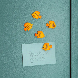 Fish Magnets