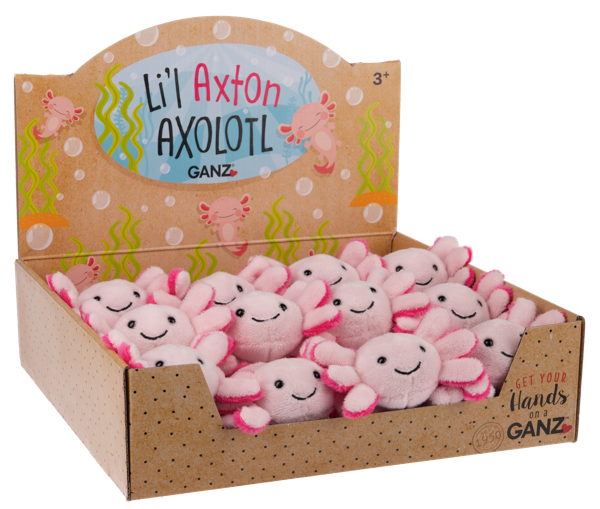 Li'l Axton Axolotl