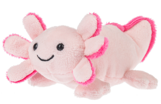 Li'l Axton Axolotl