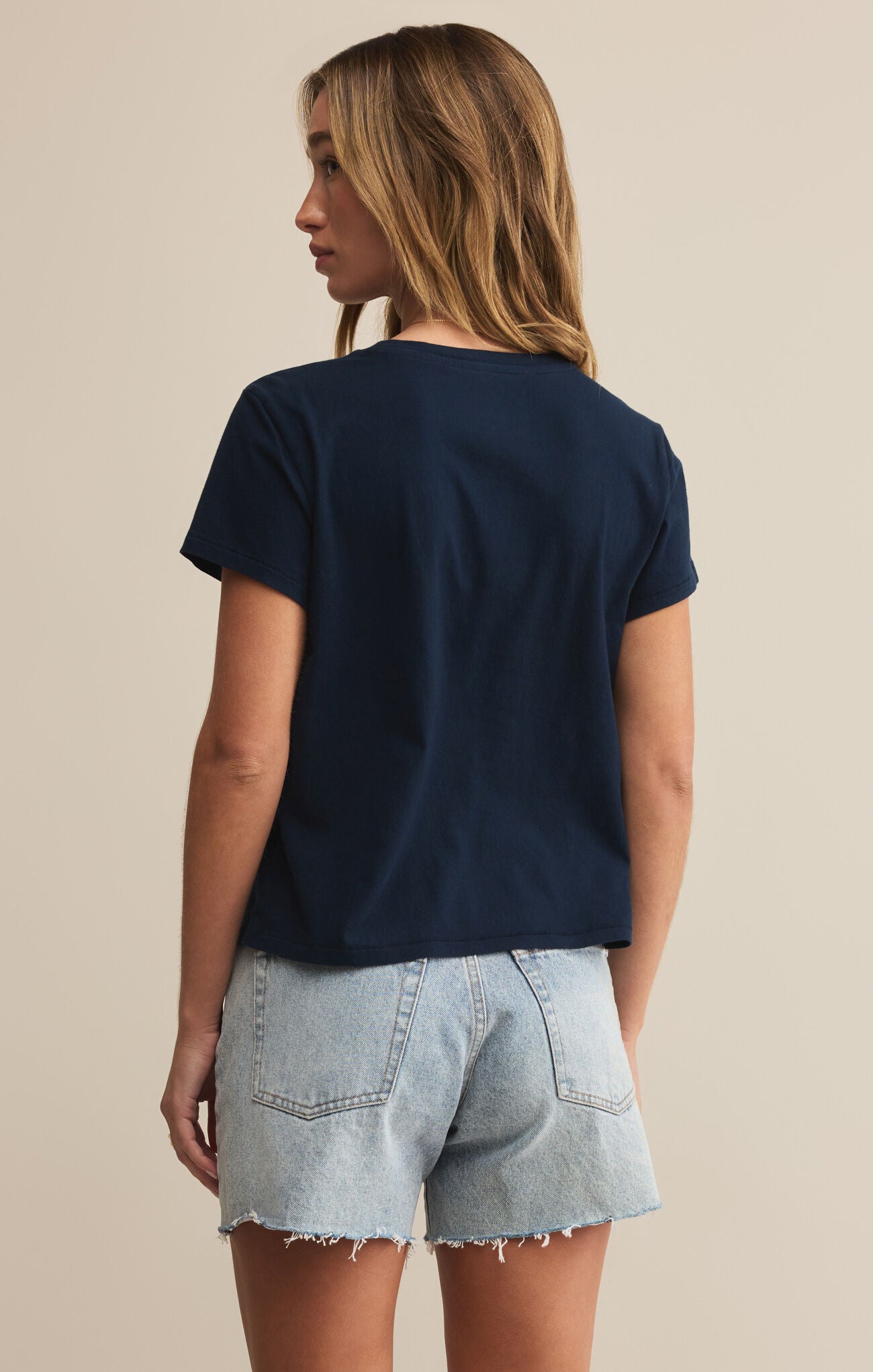 Z Supply Coast Tourist Tee