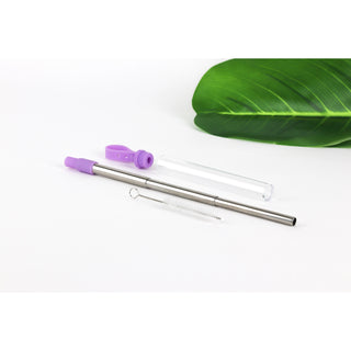 Krumbs Kitchen Expandable Steel Straw