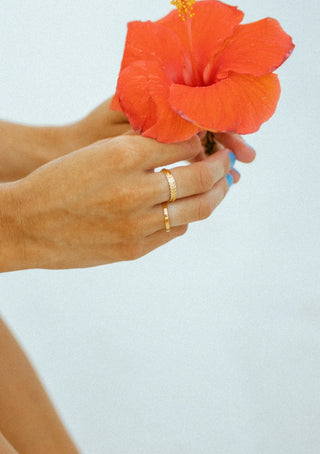 Staple Ring