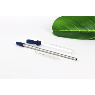 Krumbs Kitchen Expandable Steel Straw