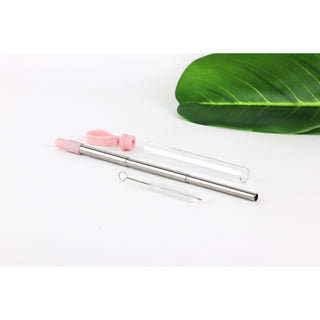 Krumbs Kitchen Expandable Steel Straw