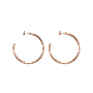 SF - Petite Everybody's Favorite Hoops