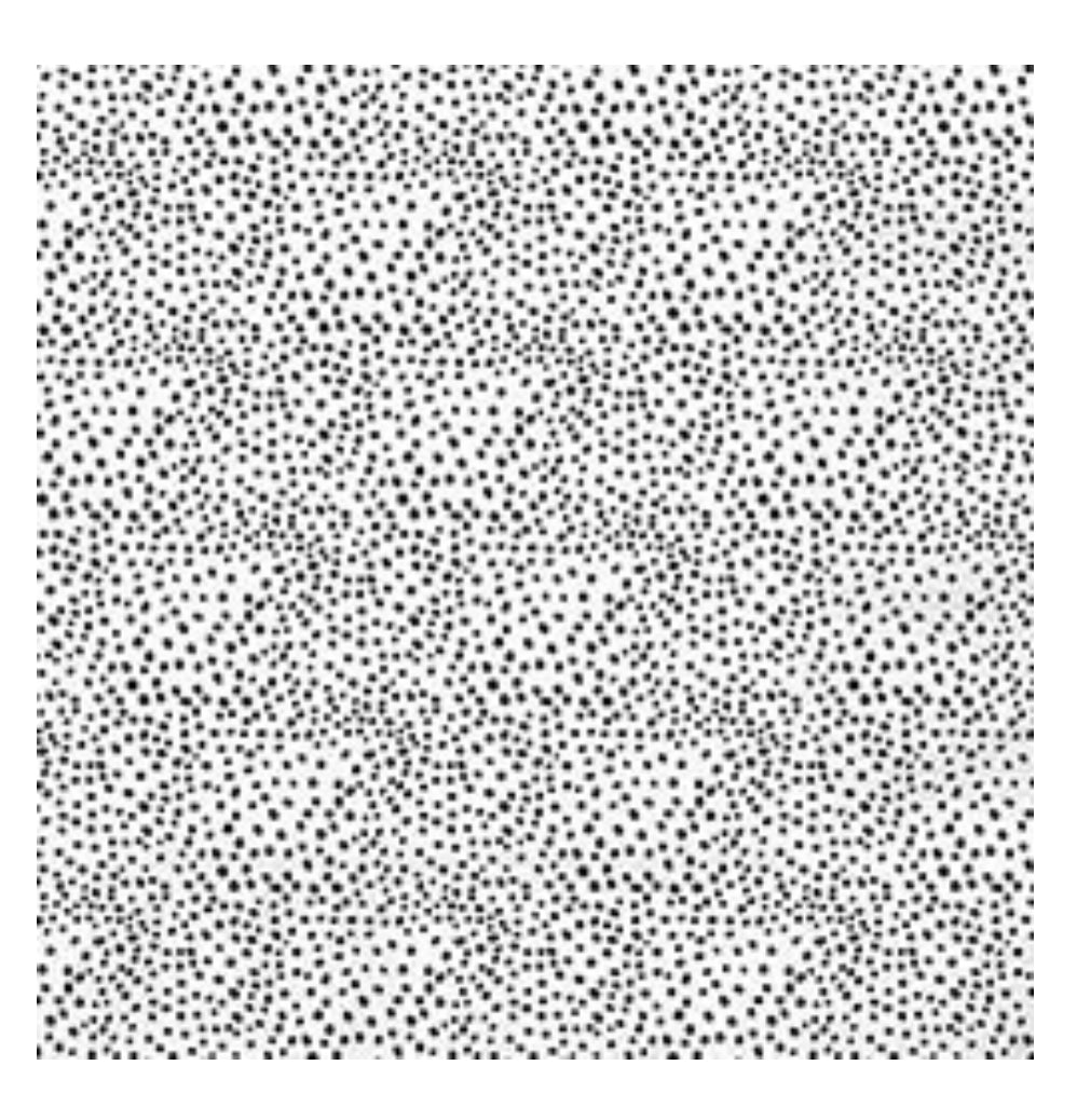 Dalmatian Foil Beverage Napkins -